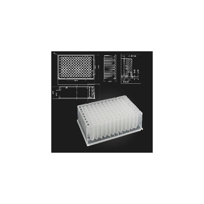 BaaySCI OptiWell™ DeepWell Plates - 2.3ml Deep Well Plate 96sq 41.7mm V str main product photo