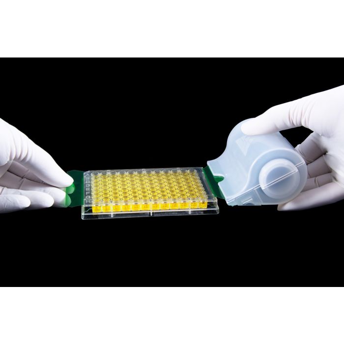 BaaySCI SealPro Pack main product photo