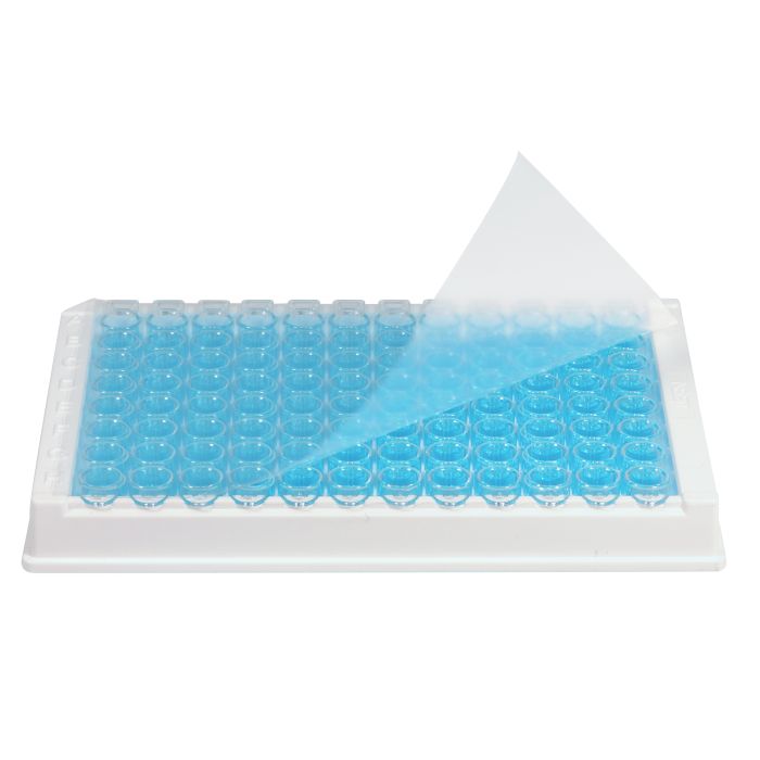 BaaySCI ELISA Sealing Film - Transparent ELISA Sealing film, 100/pk main product photo
