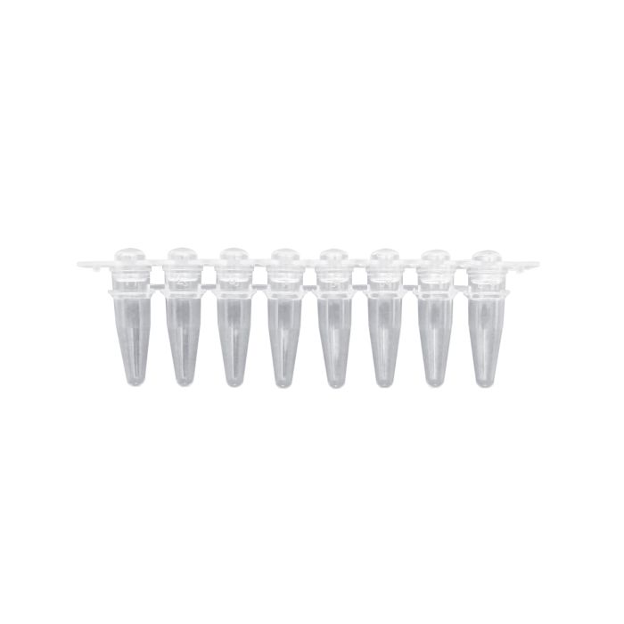 BaaySCI PCR Strip Tubes - 0.2mL PCR Strips, separate dome caps main product photo