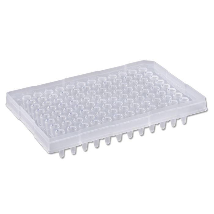 BaaySCI PCR Plates - 0.2mL PCR Plates, semi-skirt, raised rim main product photo