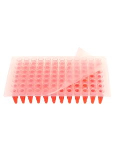 P1001-PCR
