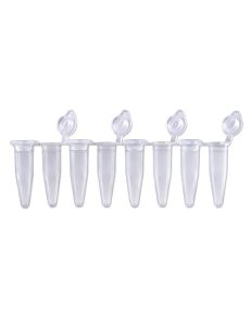 BaaySCI PCR Strip Tubes - 0.2mL PCR Strips, attached flat caps