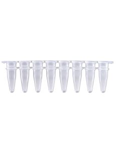 BaaySCI PCR Strip Tubes - 0.2mL PCR Strips, separate flat caps